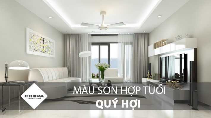 màu sơn hợp tuổi quý hợi