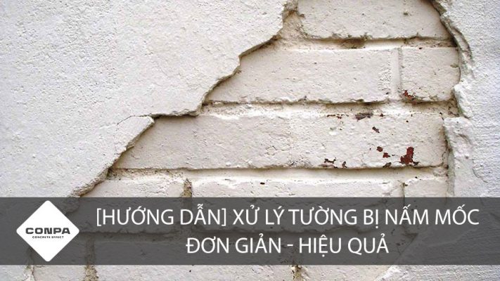 Xử lý tường bị ẩm mốc