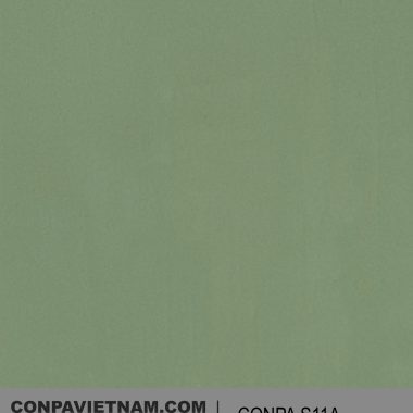 CONPA S11A