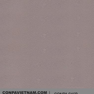 CONPA S16B