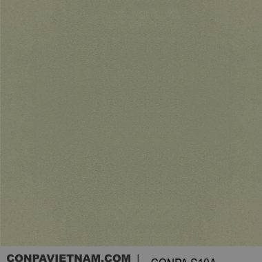 CONPA S10A