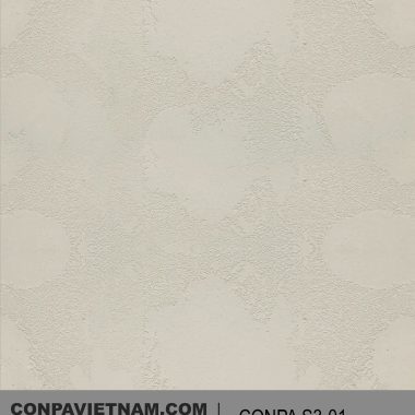 CONPA S3-01