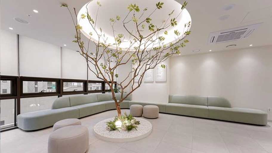 Xu hướng xanh, thiên nhiên len lỏi trong từng nhịp sống