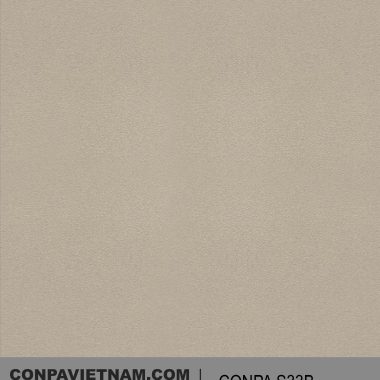 CONPA S33B
