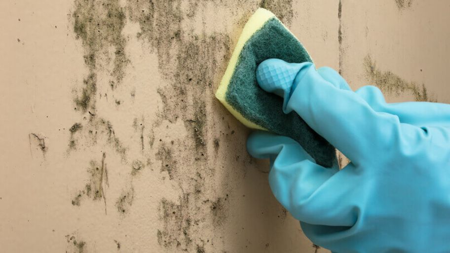 Hướng dẫn xử lý tường bị ẩm mốc đơn giản - hiệu quả Xử lý ẩm mốc bằng backing soda và giấm