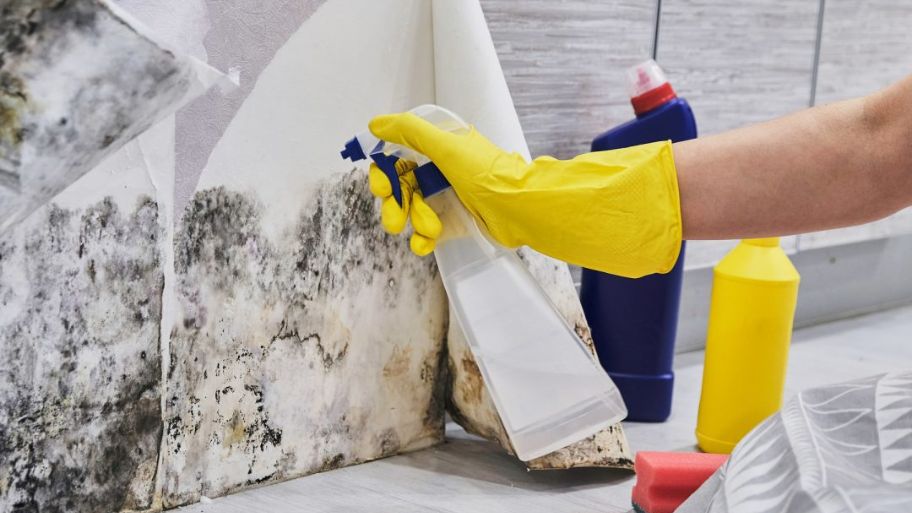 Hướng dẫn xử lý tường bị ẩm mốc đơn giản - hiệu quả Sử dụng thuốc xịt để xử lý tường mốc