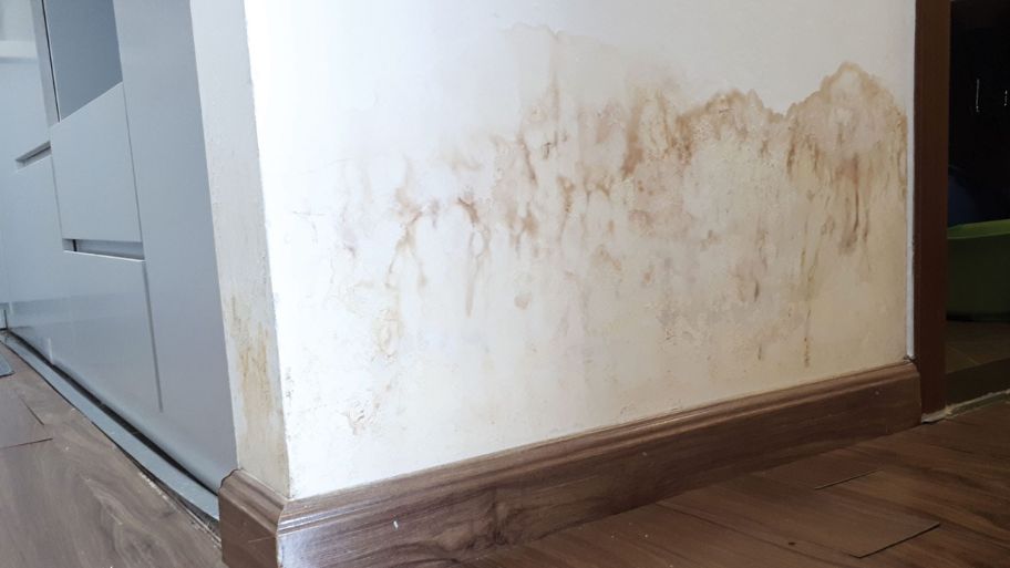 Hướng dẫn xử lý tường bị ẩm mốc đơn giản - hiệu quả Tường bị ẩm mốc do thời tiết khắc nghiệt