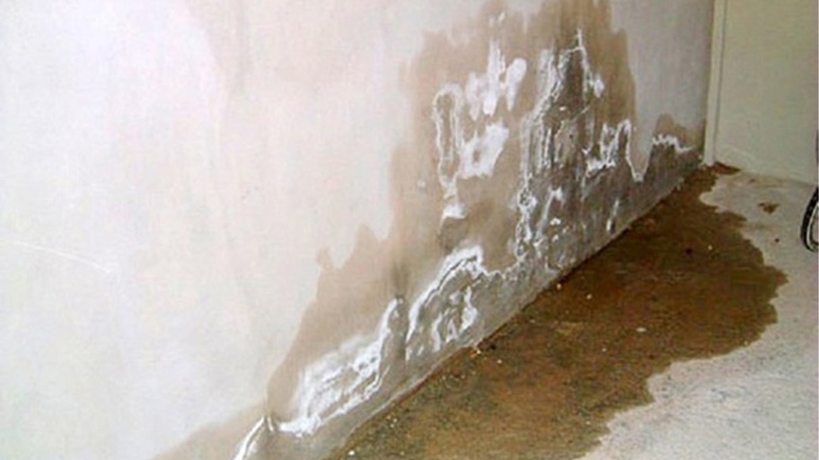 Sơn tường có độ ẩm cao