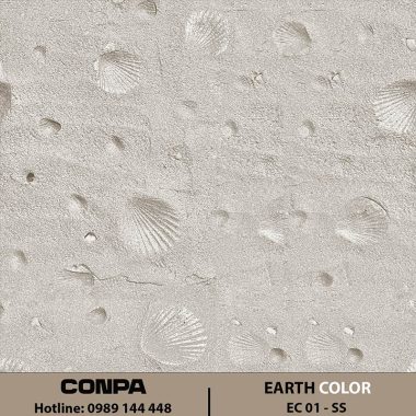 EARTH COLOR – EC 01-SS