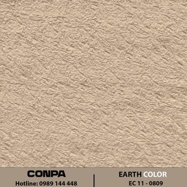 EARTH COLOR – EC 11-0321 CHÉO
