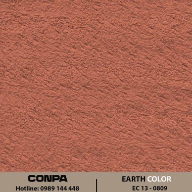 EARTH COLOR – EC 13-0809 Chéo