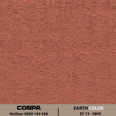 EARTH COLOR – EC 13-0809 Dọc