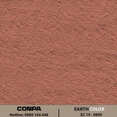 EARTH COLOR – EC 14-0809 - Chéo