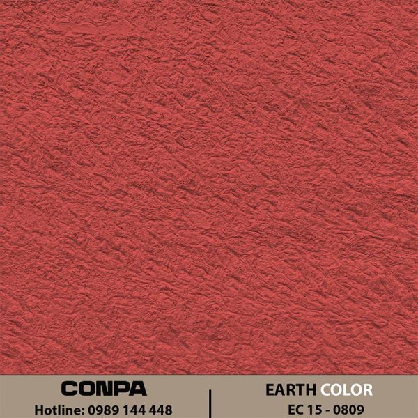 EARTH COLOR – EC 15-0809 Chéo