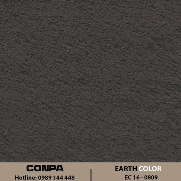 EARTH COLOR – EC 16-0809 Chéo
