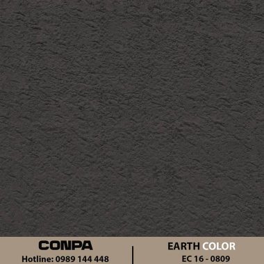 EARTH COLOR – EC 16-0809 Dọc