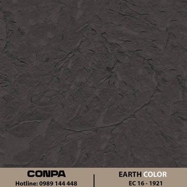 EARTH COLOR - EC 16-1921