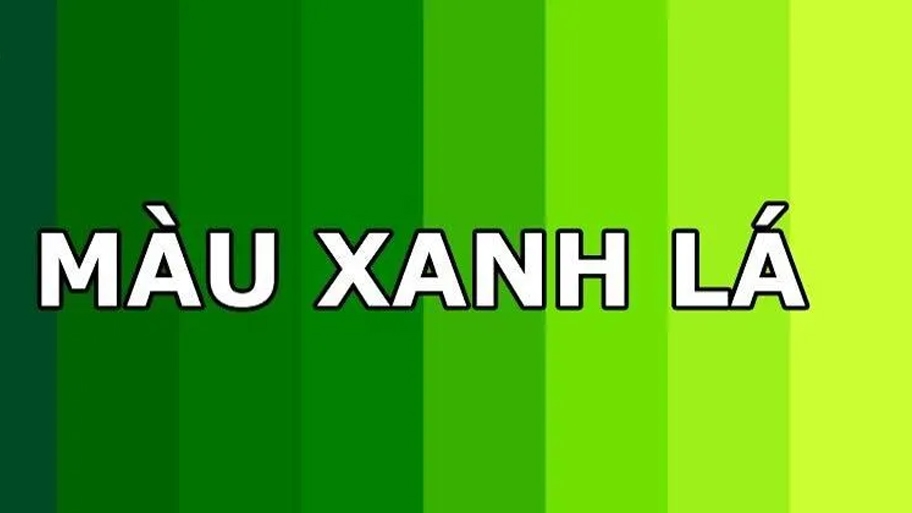 Ý nghĩa của màu xanh lá