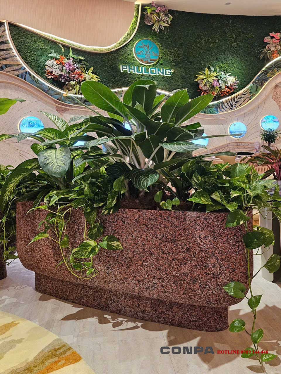 Ứng dụng sơn đá tạo điểm nhấn cho chậu cây