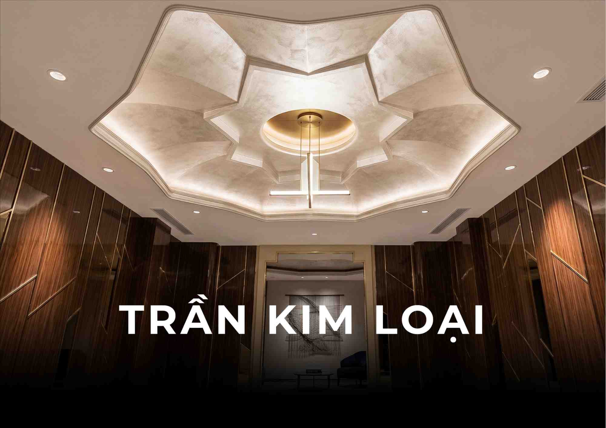 TRẦN KIM LOẠI